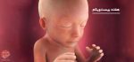 بارداری: هفته بیست و یکم - میترانیتا