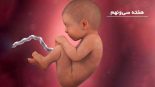 بارداری: هفته سی و نهم - میترانیتا