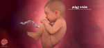 بارداری: هفته چهلم - میترانیتا