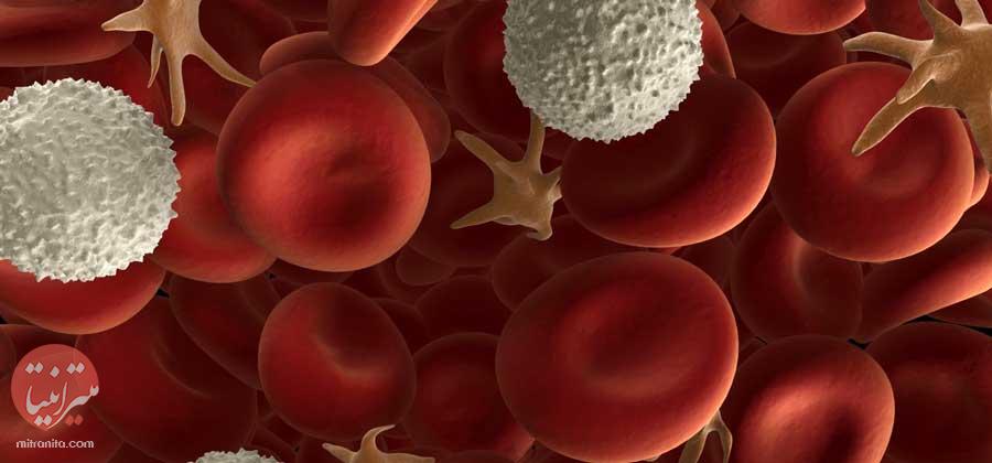 سیستم انتقال خون بدن - میترانیتا